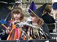 Milnrow, Newhey and Districts Carnival 2009 - Photographer: Jan Harwood, Rochdale Online News